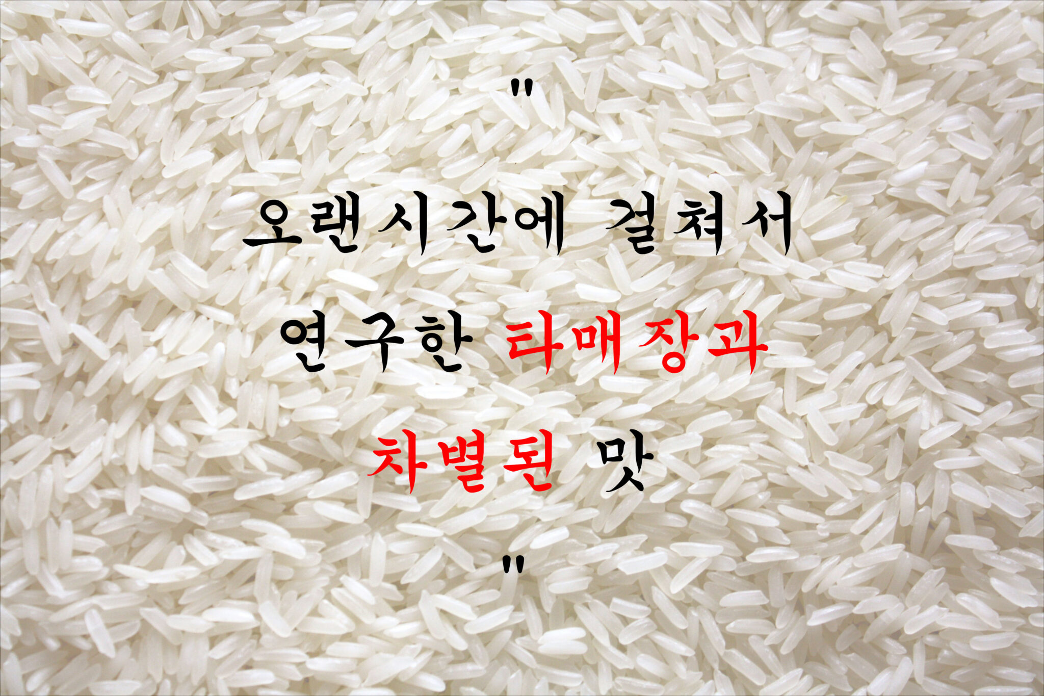 워드프레스(차별화된 맛)